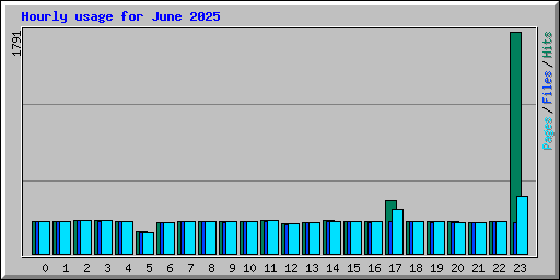 Hourly usage for June 2025