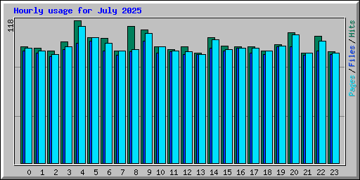 Hourly usage for July 2025