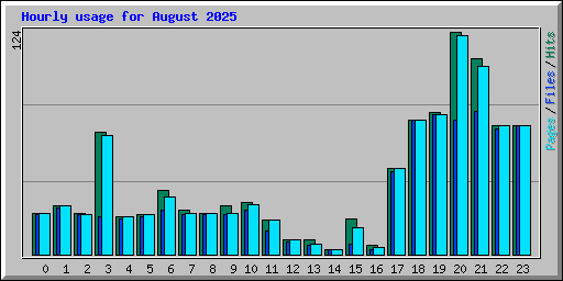 Hourly usage for August 2025