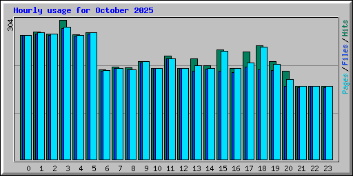 Hourly usage for October 2025