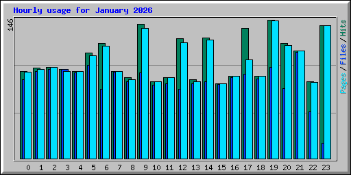 Hourly usage for January 2026